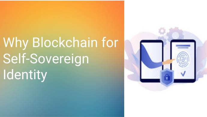 Why Blockchain for Self-Sovereign Identity?