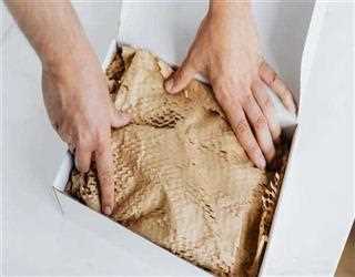 -commerce Platforms: A Comparison of Popular Solutions