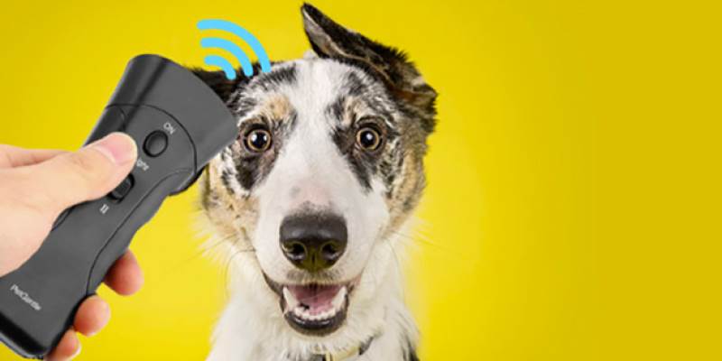 The Evolving Technology and Products for Pet