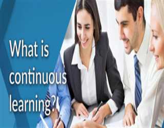 The importance of continuous learning and professional development for software developers