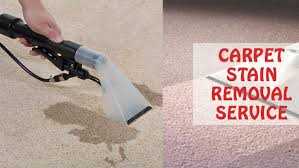 How You Can Remove the Ink Stains From the Carpets?