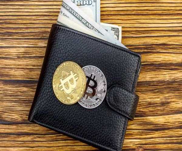 What Are Bitcoin Wallets?