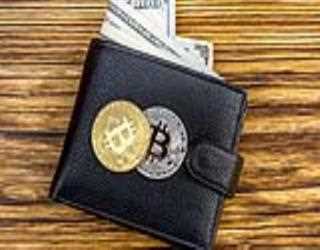 What Are Bitcoin Wallets?