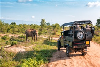 Tanzania Safari on a Budget: Smart Planning Tools and Tips