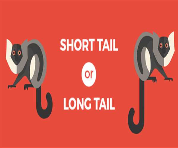 Short tail Keyword or Long tail keyword which is best for SEO?