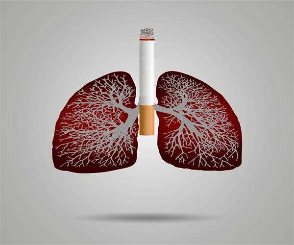 Lungs Detox: Can you cleanse your lungs?