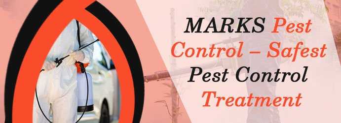 5 Reasons you should Plan Bed Bugs Pest Control at Home