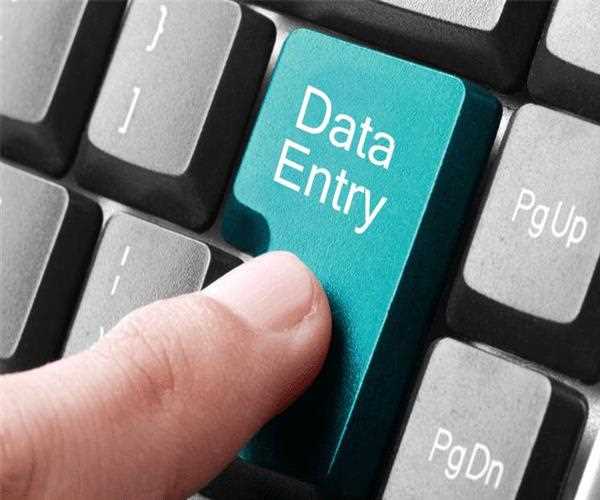 Must-to-Know 5 Things About Online Data Entry
