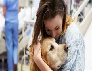 How Science Supports Pets for Improving Your Mental Health image