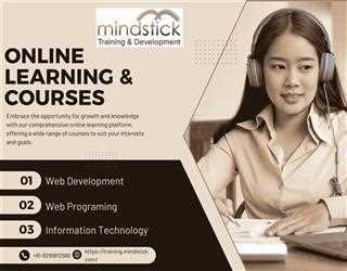 How internship at the MindStick Training portal enhance career growth? image