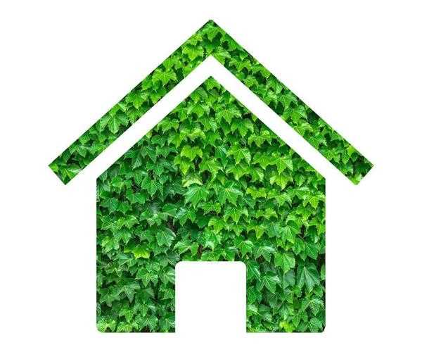 Make Your Home More Eco-Friendly in 2020