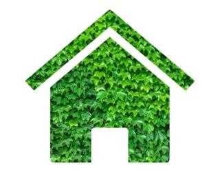 Make Your Home More Eco-Friendly in 2020 image