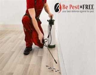 5 Things to Do to Prepare your Home for Pest Control