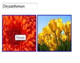 JavaScript – Image Map