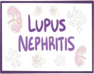 Lupus Nephritis: Symptoms, Diagnosis, and Treatment