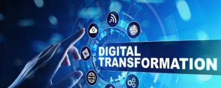 Explaining the stages of digital evolution and its apex