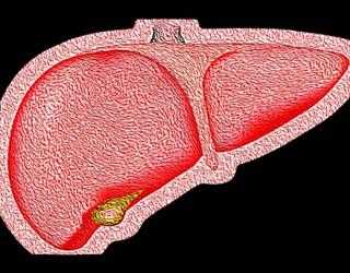 Cirrhosis of the Liver