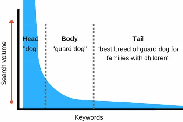 How to Find Long Tail Keywords?