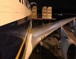 Livestock Exports and Their Importance to the World image