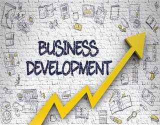 How to Make your Small Development Business a Large Business