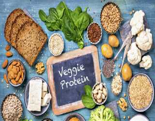 What are the benefits of Meatless Protein Sources?