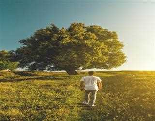 Health Benefits of Walking Barefoot on Grass