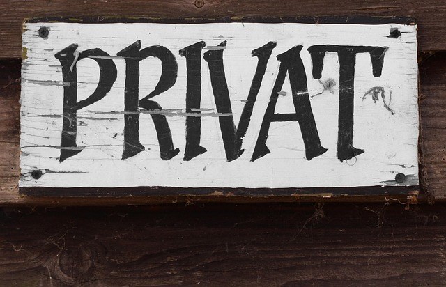 Are Your AI Models Leaking Private Data?