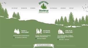 WEB-DESIGN AND ITS VALUE IN THE PROMOTION OF SITES