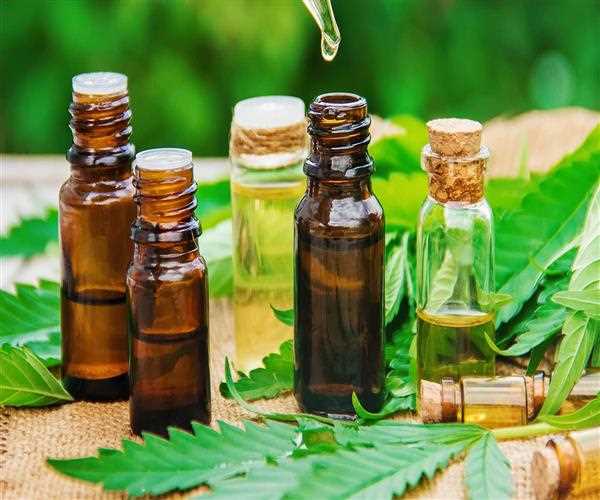 Everything You Need To Know About Cbd Oil Drops