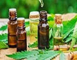 Everything You Need To Know About Cbd Oil Drops