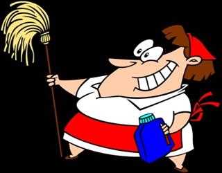 Is Steam Carpet Cleaning the Better Choice? image