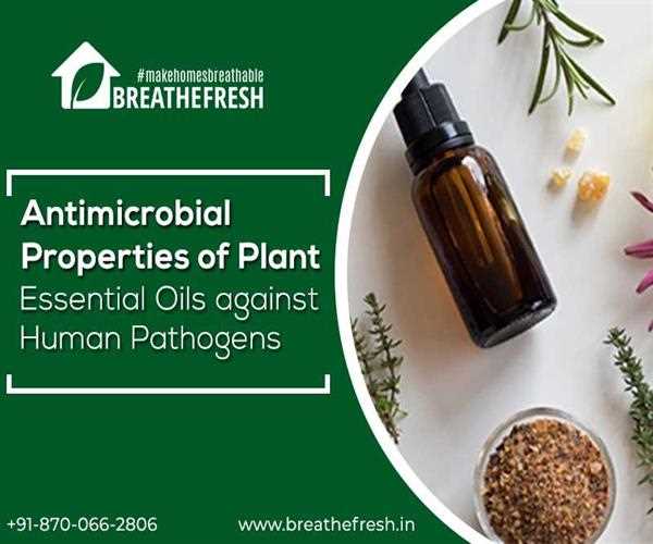 Antimicrobial Properties of Plant Essential Oils against Human