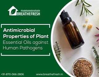 Antimicrobial Properties of Plant Essential Oils against Human Pathogens
