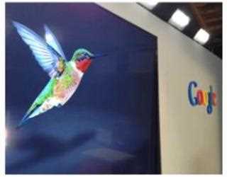 What you need to know about Hummingbird and The Keywords