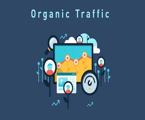 5 Comprehensive Strategy For Driving Organic Traffic In 2024
