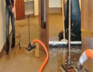 How to Maintain your Carpet After Getting Professional Flood Damage Restoration Service image