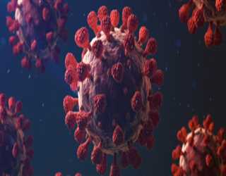 The Biology Of Why Coronavirus Is So Deadly