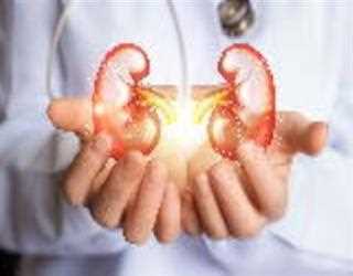 Say No to Hectic Dialysis Process by Undergoing Kidney Transplant