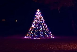 What’s the Science Behind the Glow of Christmas Tree Lights?