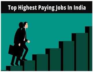 The Top 11 Highest Paying Jobs in India