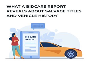 What a BidCars Report Reveals About Salvage Titles and Vehicle History