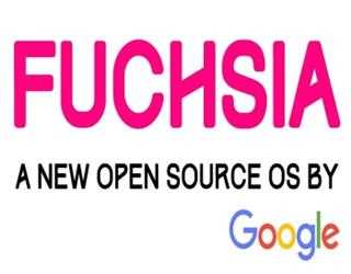 Google's New Mobile OS: FUCHSIA