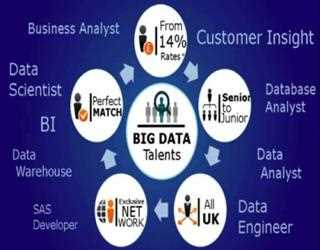 What is the Difference between the Roles of a Data Analyst, Data Engineer, and Data Scientist