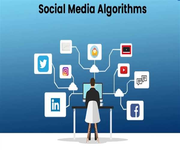 How Do Social Media Algorithms Update Impact User Visibility?