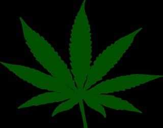 Is weed bad for your Liver?