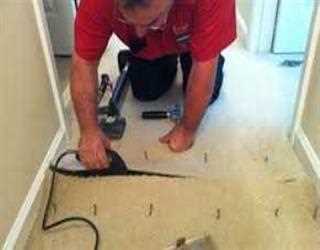 What to Look for in a Carpet Repair company?