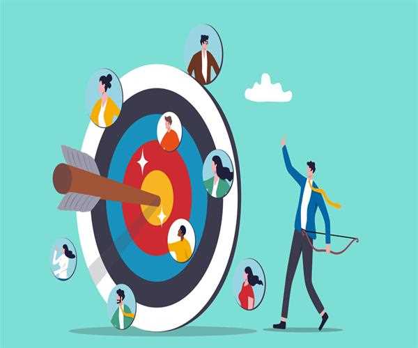 Understanding Ad Targeting Using Demographics, Interests, And Behaviours