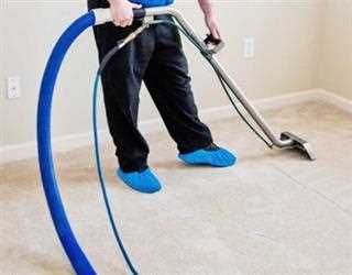 Carpet Cleaning Chemicals and Household Cleaners That Pose Harms