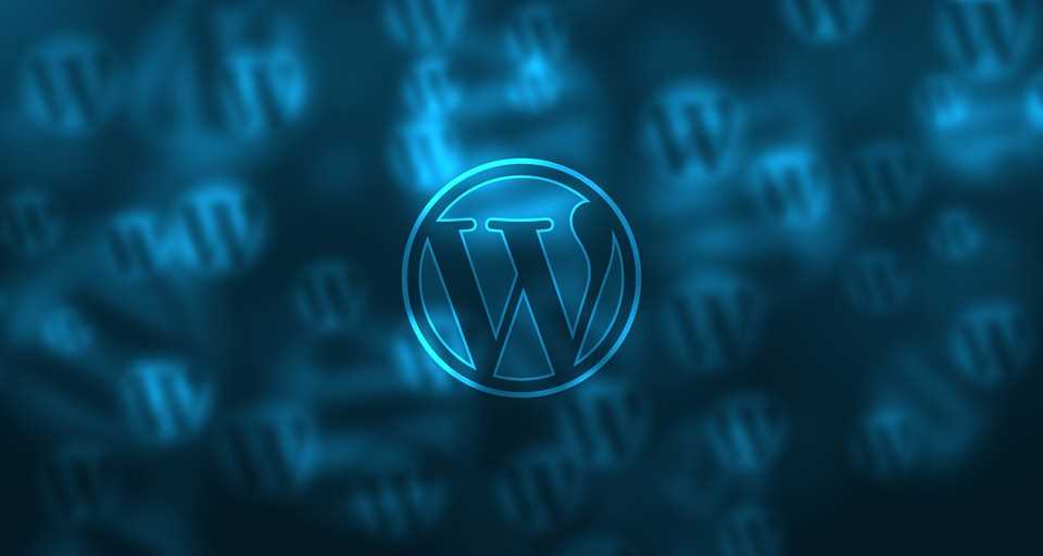 Why You Should Hire WordPress Developer for your Business?