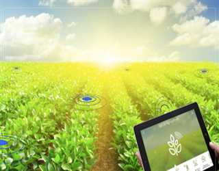 How Internet of Things (IoT) is transforming the agriculture?
